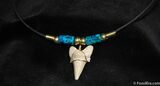 Fossil Shark Tooth Necklace #611-1